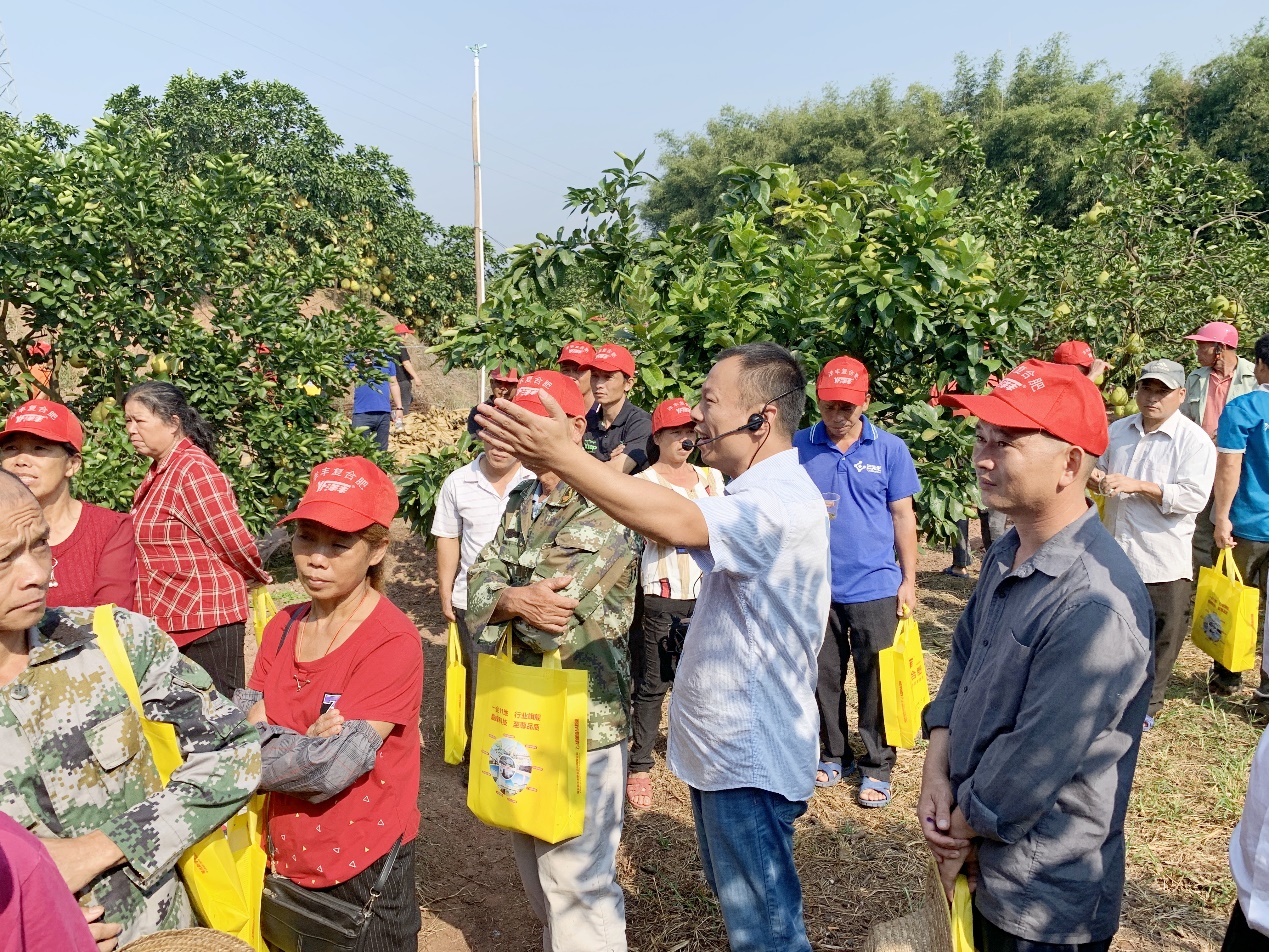 J9九游会西南大区总农艺师李家涛（中）在广西壮族自治区玉林市容县沙田柚示范观摩现。种不ё黾际跫靶Ч步.jpg
